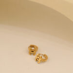 Boucles D'oreilles 302_CH